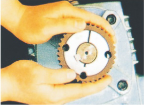 6768f71d0054b.jpg 7.jpg